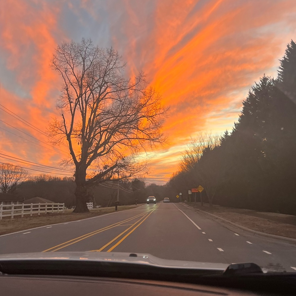 Meet your Posher, Annagrace